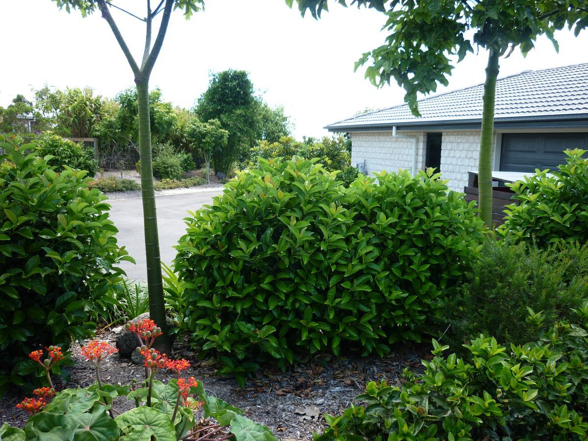 Willowbank Drive Bed & Breakfast ภายนอก รูปภาพ